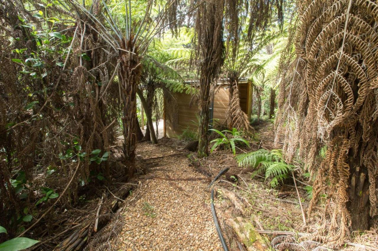Karaka Sanctuary With Spa Pool By Waiheke Unlimited Oneroa Pokój zdjęcie
